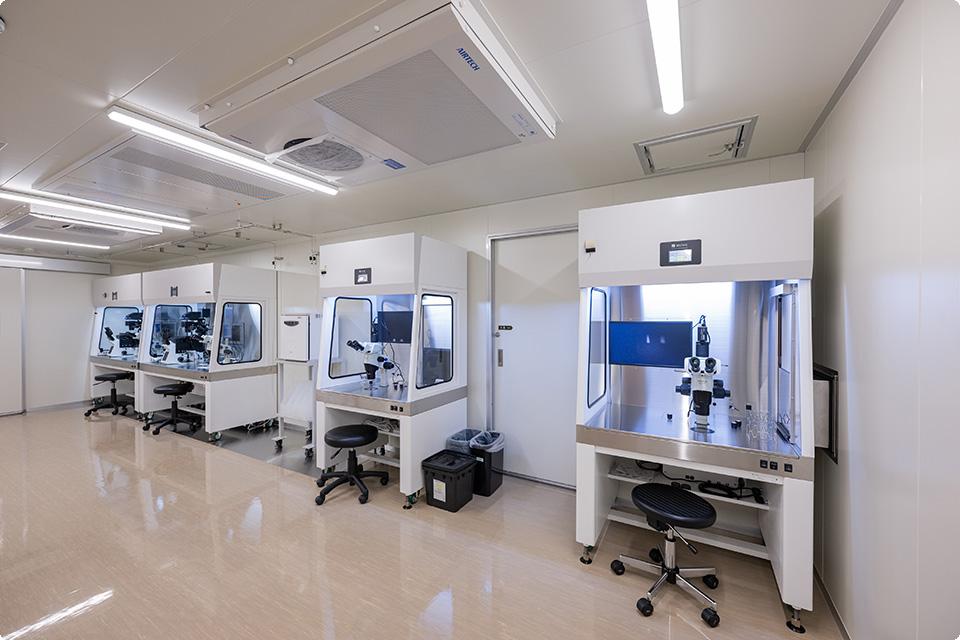 img-intraius-2